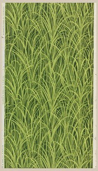 Sidewall (1903–1904) from M.H. Birge & Sons Co.  