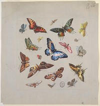 Original public domain image from the Smithsonian