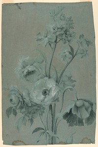 Original public domain image from the Smithsonian