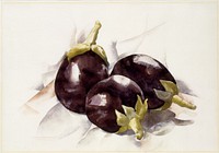 Eggplants (1927) painting in high resolution by Charles Demuth.  