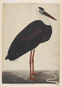 Original public domain image from The MET Museum