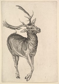 Stag. Original public domain image from The MET Museum