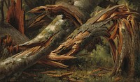 Fallen Tree (1839–1845) by Alexandre Calame.  