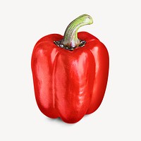 Red bell pepper collage element psd