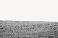 Grass field border collage element psd