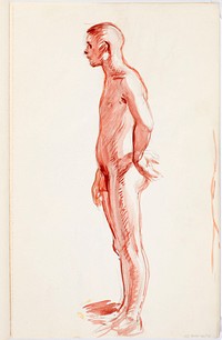 Seisova alaston mies sivusta, luonnos, 1902 - 1909part of a sketchbook by Magnus Enckell