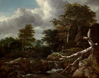 Forest Scene (ca. 1655) by Jacob van Ruisdael.  