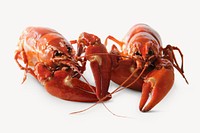 Lobster seafood collage element psd