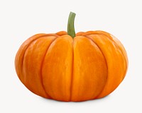 Orange pumpkin, isolated vegetable image