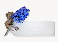Hyacinth & label image, isolated on white