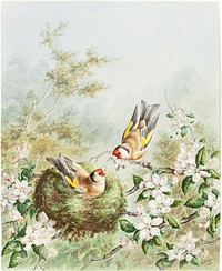 Gold Finches and Their Nest in an Apple Tree (1878) by Harry Bright.  