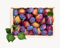 Box of plums image, isolated on white