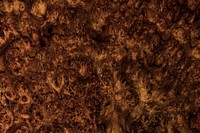 Brown abstract wooden textured background