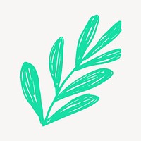 Green leaf, doodle botanical clipart vector
