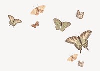 Aesthetic butterfly illustration background, vector