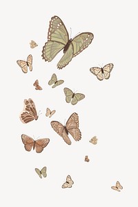 Aesthetic butterfly border background, vector