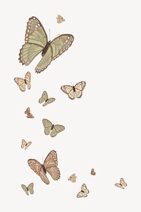 Butterfly border background, vector