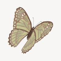 Green butterfly illustration collage element vector