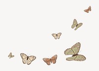 Butterfly border background, vector