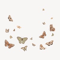 Butterfly illustration background, vector