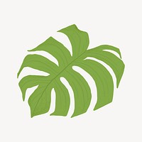 Monstera leaf collage element vector