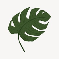 Monstera leaf collage element vector