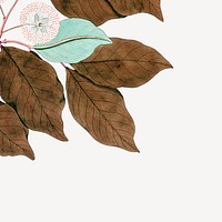 Brown leaf border collage element psd