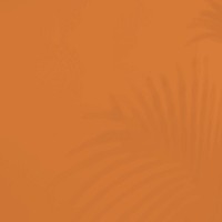 Aesthetic brown background, tropical palm leaf shadow design