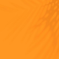 Orange background, leaf shadow design