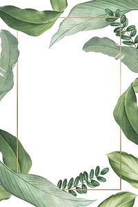 Leafy frame background, green & white botanical design