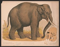 Original public domain image from Library of Congress