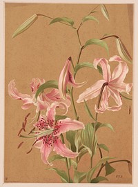 Lilies no. 5 (1886) by L. Prang & Co.  