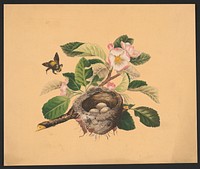 Apple blossoms and bird's nest (1878) by L. Prang & Co.  