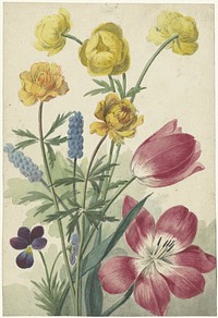 Boeket van tulpen, viooltjes, blauwe druifjes en dotters (ca. 1763–1825) by Willem van Leen. 