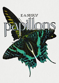 E.A. S&eacute;guy's Papillons (1925) butterfly illustration in vintage style. Original public domain image from Biodiversity Heritage Library. Digitally enhanced by rawpixel.