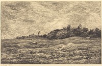 The Meadow at Grave, near Villerville (Le Pre des Graves, a Villerville) (1875) print in high resolution by Charles-Fran&ccedil;ois Daubigny. 
