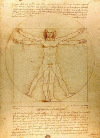 Leonardo da Vinci's Vitruvian Man (circa 1492) famous painting. Original from Wikimedia Commons. 