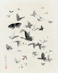 Hokusai's Butterflies and Moths (1830-1850). Original public domain image from the Library of Congress.    Digitally enhanced by rawpixel.