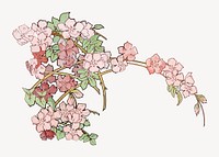 Pink flowers, vintage botanical illustration psd.  Remastered by rawpixel