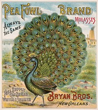 Aesthetic pea Fowl brand molasses. Original public domain image from the Library of Congress. Digitally enhanced by rawpixel.