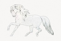 Aesthetic white horse illustration.  Remastered by rawpixel