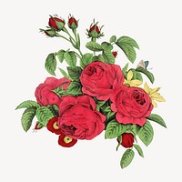 Aesthetic vintage rose bouquet illustration. Remixed by rawpixel.