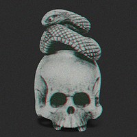 Aesthetic skull with snake illustration. Remixed by rawpixel.