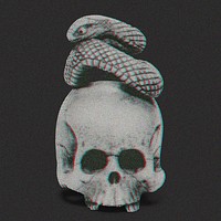 Aesthetic skull with snake psd. Remixed by rawpixel.