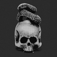 Aesthetic skull with snake psd. Remixed by rawpixel.