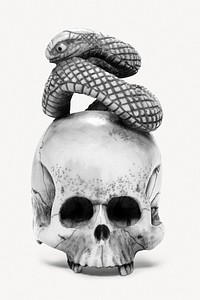 Aesthetic skull with snake illustration. Remixed by rawpixel.