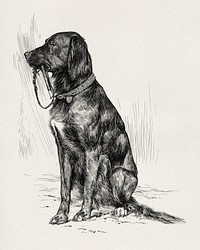 Aldrich's dog (1880s) aesthetic drawing by John Davis Hatch. Original public domain image from the National Gallery of Art. Digitally enhanced by rawpixel.