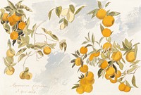 Fruit tree (1863) watercolor by Edward Lear. Original public domain image from Yale Center for British Art. Digitally enhanced by rawpixel.