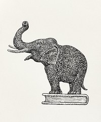 Elephant on a book (1935-1936) drawing by Leo Gestel. Original public domain image from the Rijksmuseum. Digitally enhanced by rawpixel.