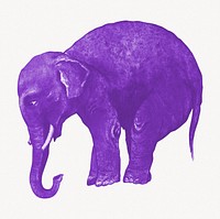 Aesthetic purple elephant illustration. Remixed by rawpixel.